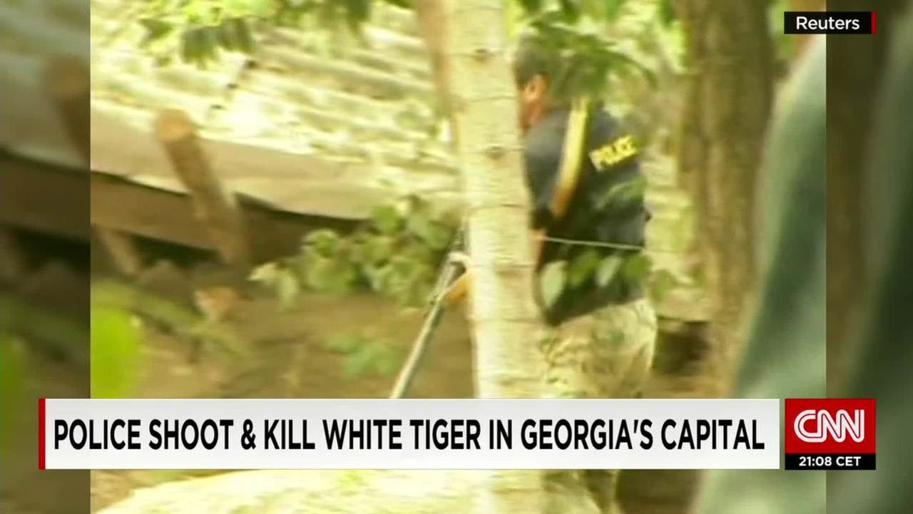police shoot white tiger georgia newton pkg wrn_00011908.jpg