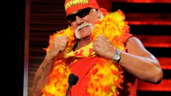 Hulk Hogan TEASE