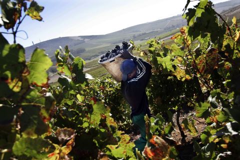 For a long time, South Africa's wines have fought hard to compete with their Old World rivals in terms of reputation globally.