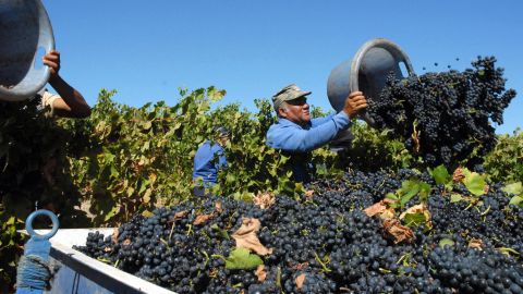 Quality reds like Cabernet Sauvignon have seen a boost in reputation