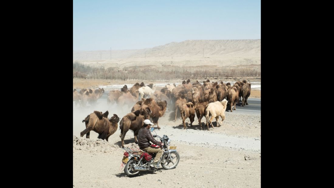 A shepherd and a herd of camels cross a road in the Taklamakan Desert a few kilometers south of Hotan.