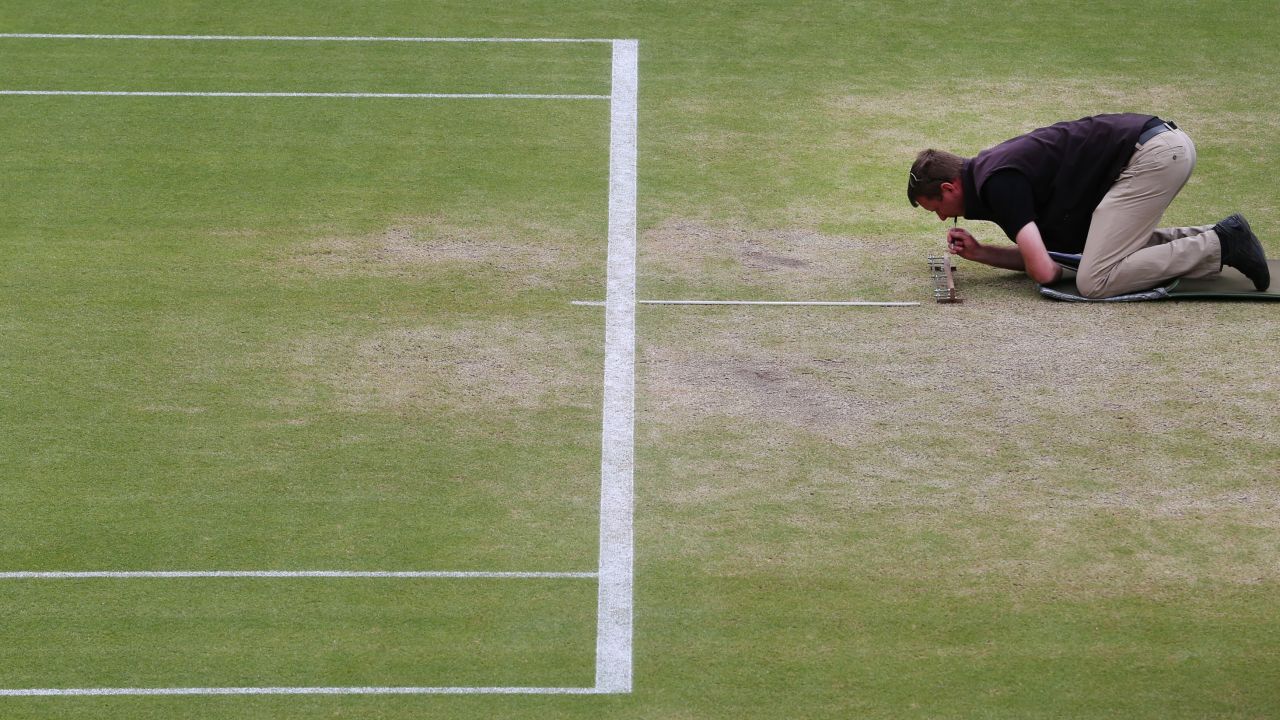 grass court inspection