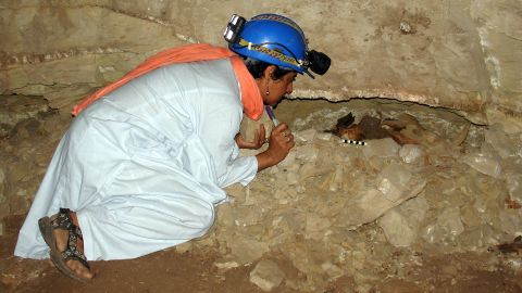 Archaeologist Salima Ikram examines the mummified remains of an adult dog in a wall niche.
