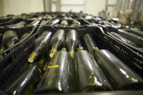 Castel produced their first vintages in 2014, a Chardonnay and a red from Merlot, Syrah and Cabernet Sauvignon grapes.