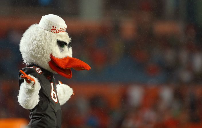 No, Donald Duck hasn't fallen on hard times. This is Sebastian, mascot for the Miami Hurricanes football team, and he's an ibis.