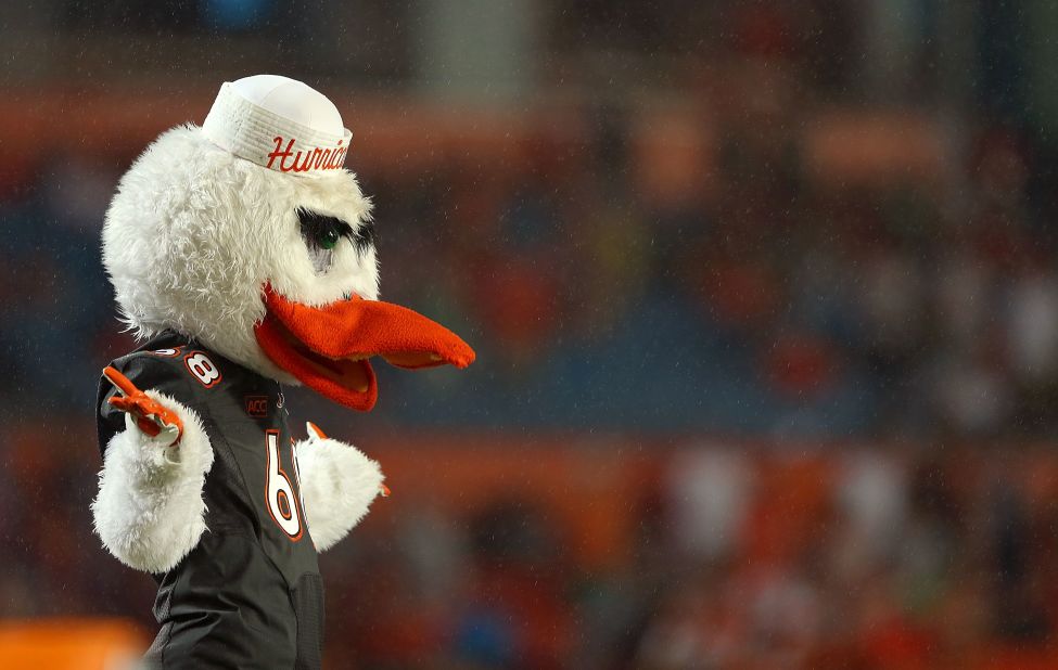No, Donald Duck hasn't fallen on hard times. This is Sebastian, mascot for the Miami Hurricanes football team, and he's an ibis.