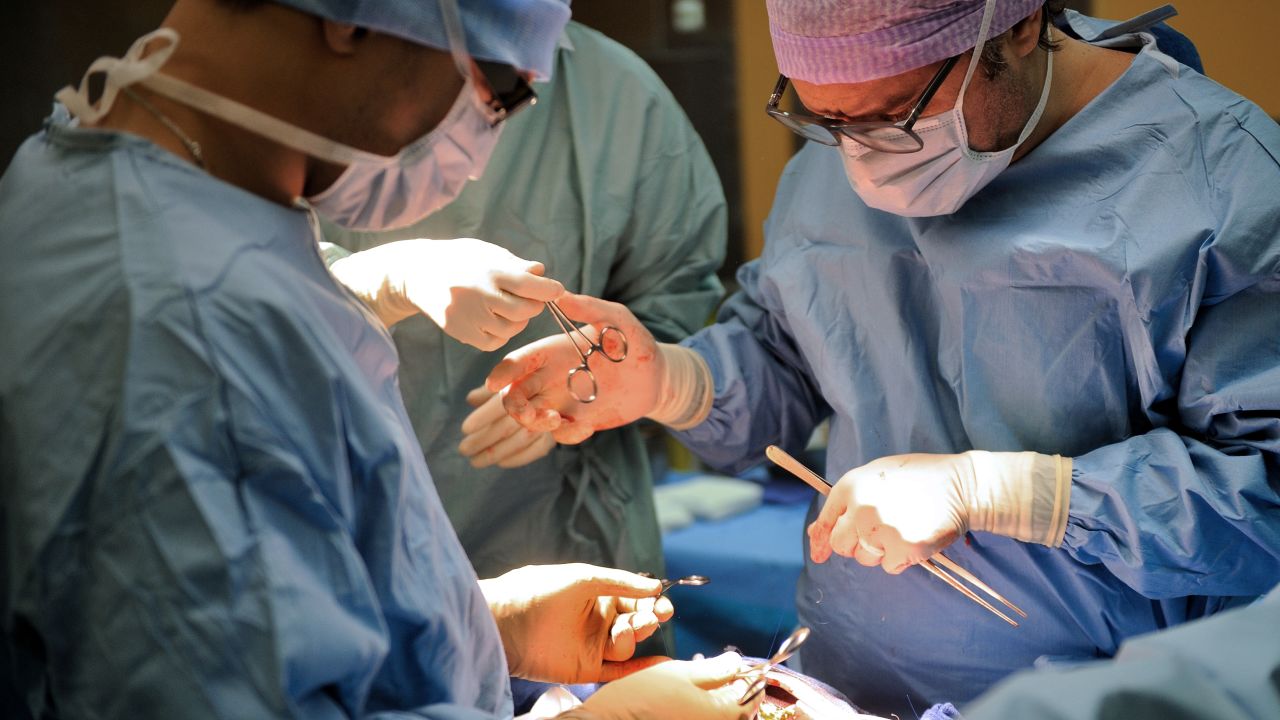 Modern surgery has benefited from Muslim surgeon Al Zahwari's inventions. Around the year 1,000, he reportedly performed the first caesarean operation and created the first pair of forceps.
