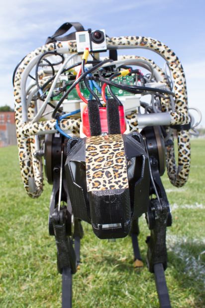 The robot can currently reach speeds of up to 10mph, but is believed to be able to go as fast as 30mph.