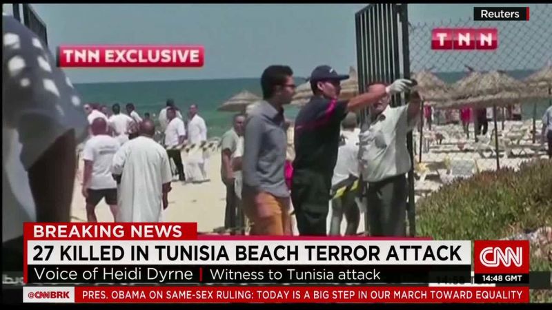 Witness recounts Tunisia hotel attack image