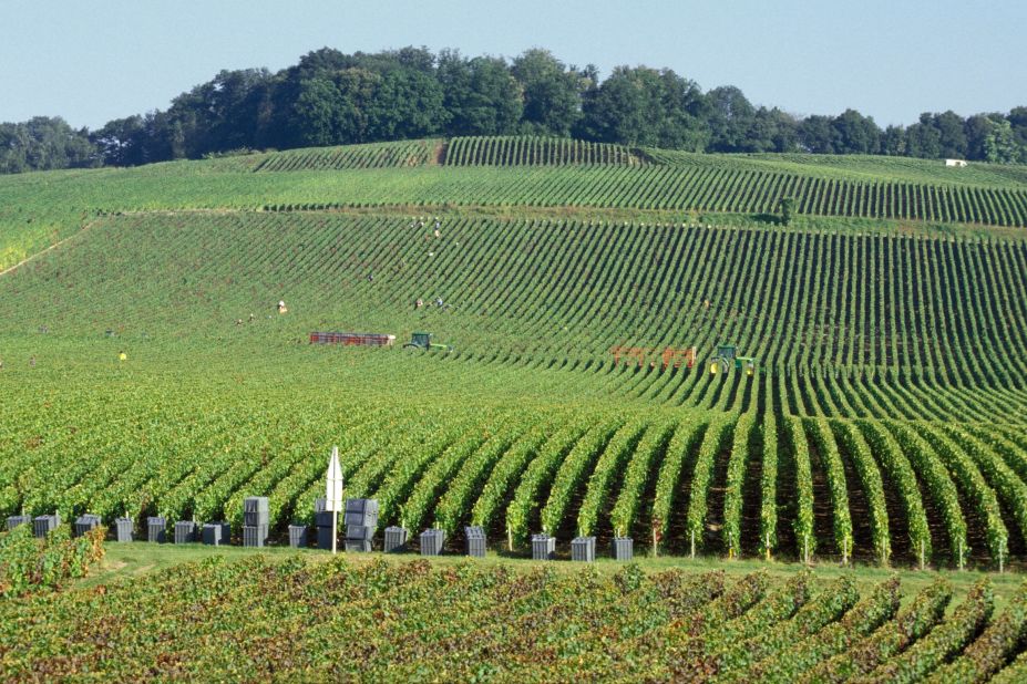 <strong>Champagne hillsides, houses and cellars, France.</strong> France's historic hillsides and properties where the sparkling wines of Champagne are produced, shown here. The Champagne region's secondary bottle fermentation method of producing sparkling wines dates to the early 17th century. 