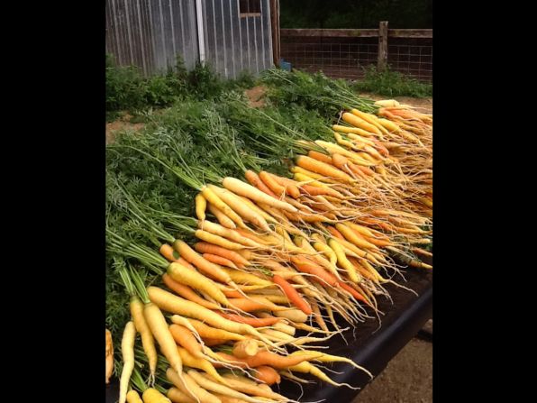Like other pizza farms, Suncrest Gardens produces many of its ingredients on-site, including chicken, bell peppers, onions, carrots, spinach, kale and sweet corn.