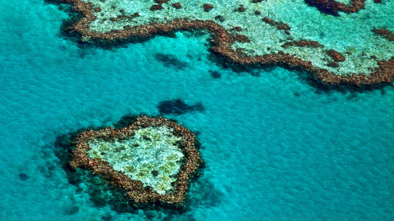 The Great Barrier Reef in Australia seen from the air.