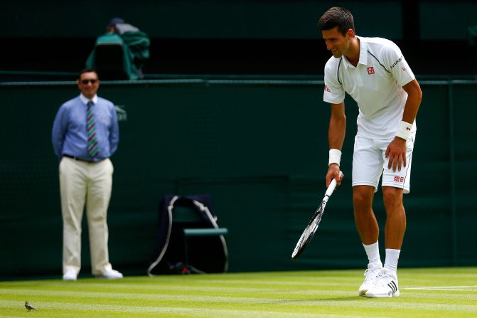 Defending champion Novak Djokovic faced Germany's Philipp Kohlschreiber to open play on Center Court. They were joined by a tiny bird, too.