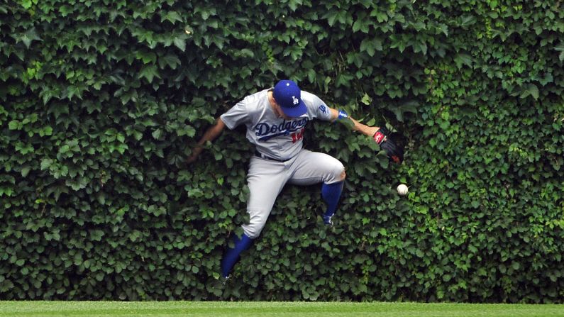 Enrique Hernandez, center fielder for the Los Angeles Dodgers, falls into Wrigley Field's ivy as he tries to make a catch Thursday, June 25, in Chicago.