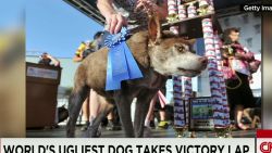 ugliest dog contest moos erin dnt_00001118.jpg