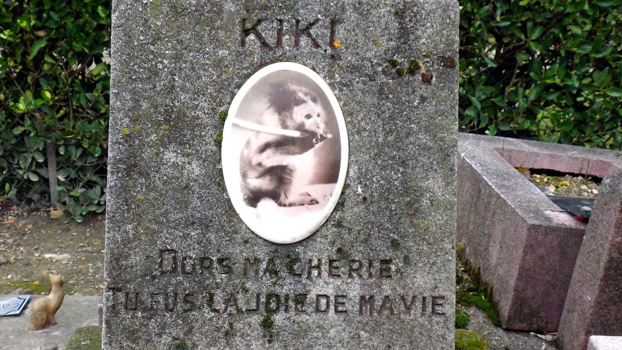 Kiki the Monkey's grave, Cimitiere des Chiens.