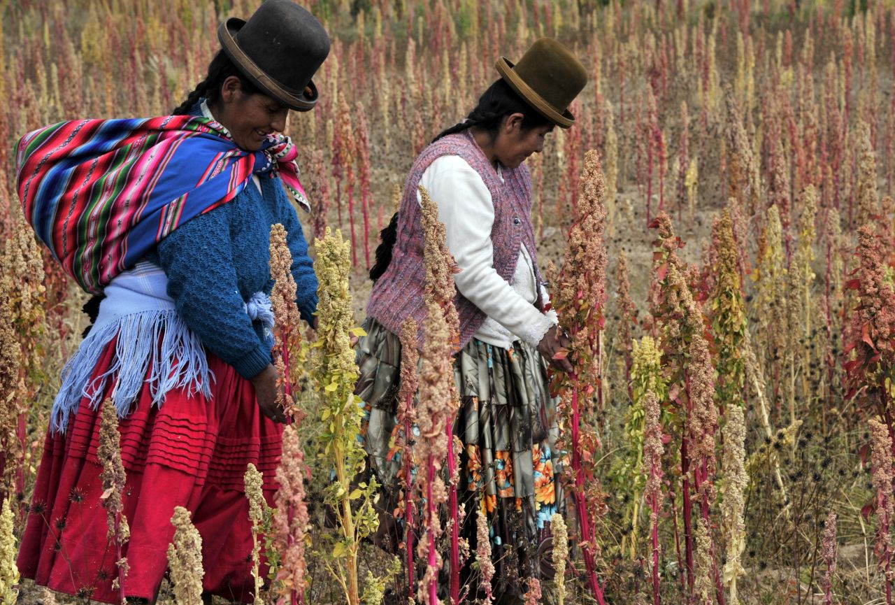 Farmed for over thousands of years, the popularity of ancient grains like quinoa, chia, spelt, bulgar wheat and farro has exploded in the American market. La Paz, Bolivia (pictured) produces 70% of the world's quinoa. 