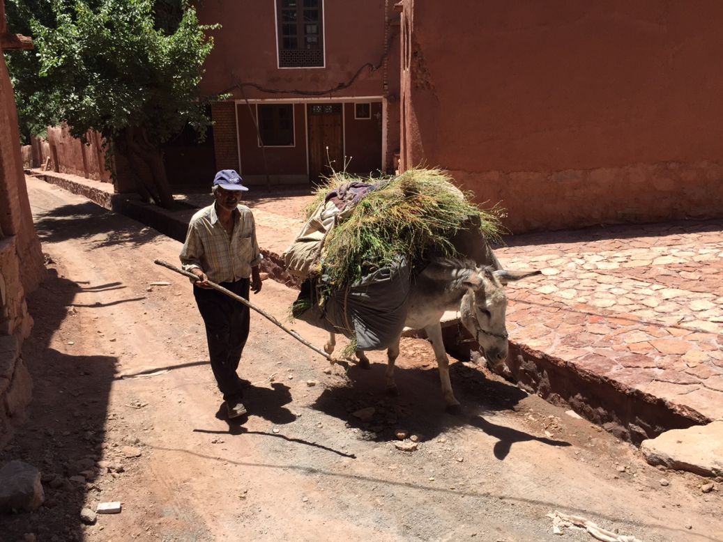 A man strolls down the street with his donkey. Abyaneh is unique even in a culturally diverse country such as Iran.