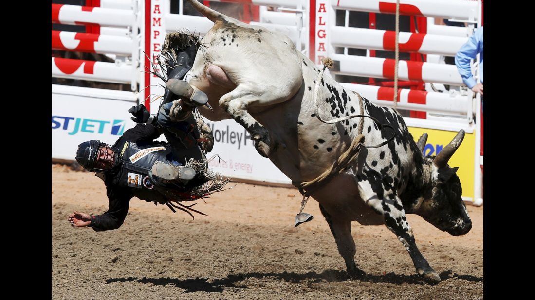Chad Besplug is tossed off the bull Teen Spirit on Friday, July 3, during the Calgary Stampede in Calgary, Alberta.