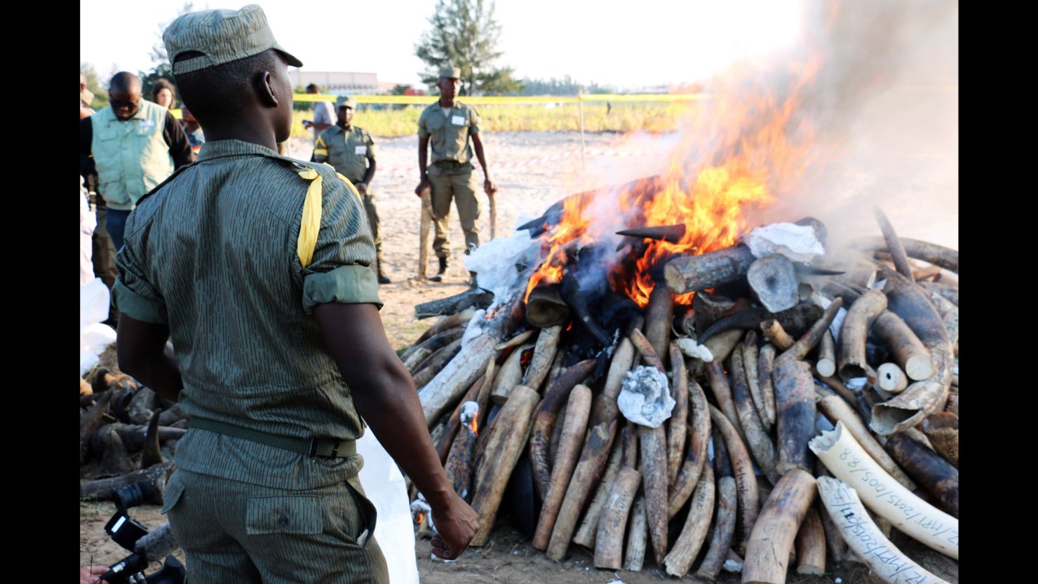 Mozambican authorities  stand near a burning pile of ivory and rhino horns in Maputo on July 6.