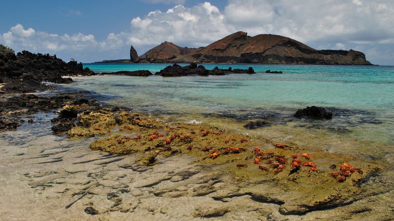 Topping the rankings is the wildlife-filled archipelago of the Galápagos Islands. The exotic spot has long tempted thrill-seekers and photography enthusiasts with its pods of sea lions, flightless cormorants, the world's only seafaring lizards, and short-feathered penguins. For more of Travel + Leisure's 2015 World's Best Awards, which cover everything from hotels to airports, click here: <a href="http://www.travelandleisure.com/worlds-best?xid=PS_CNNI" target="_blank" target="_blank">www.travelandleisure.com</a>.