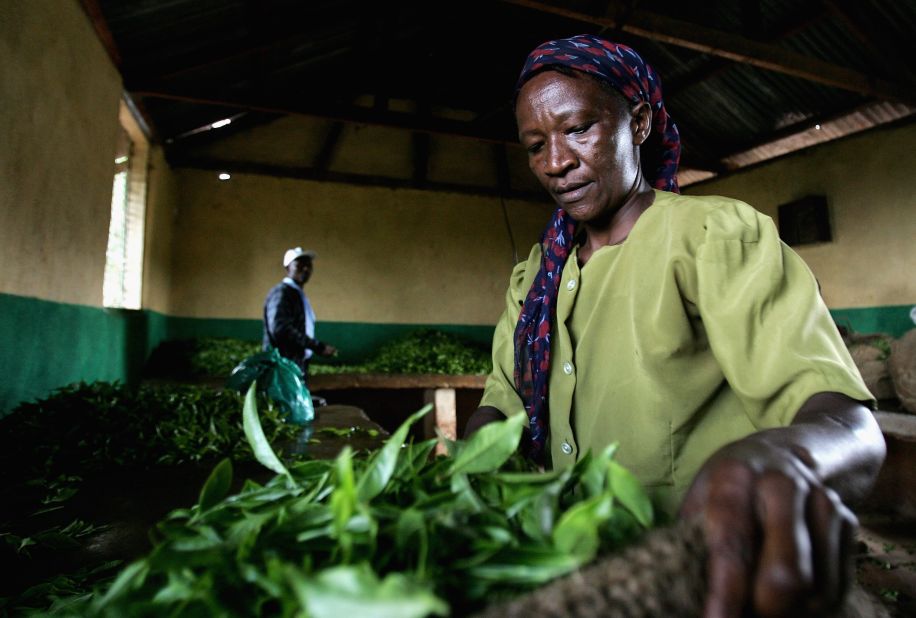 <strong>Tea:</strong> A worker sorts tea leaves in in Ikumbi, Kenya. The country might be famous for exporting coffee, but tea is the drink of choice for the people who live there. 