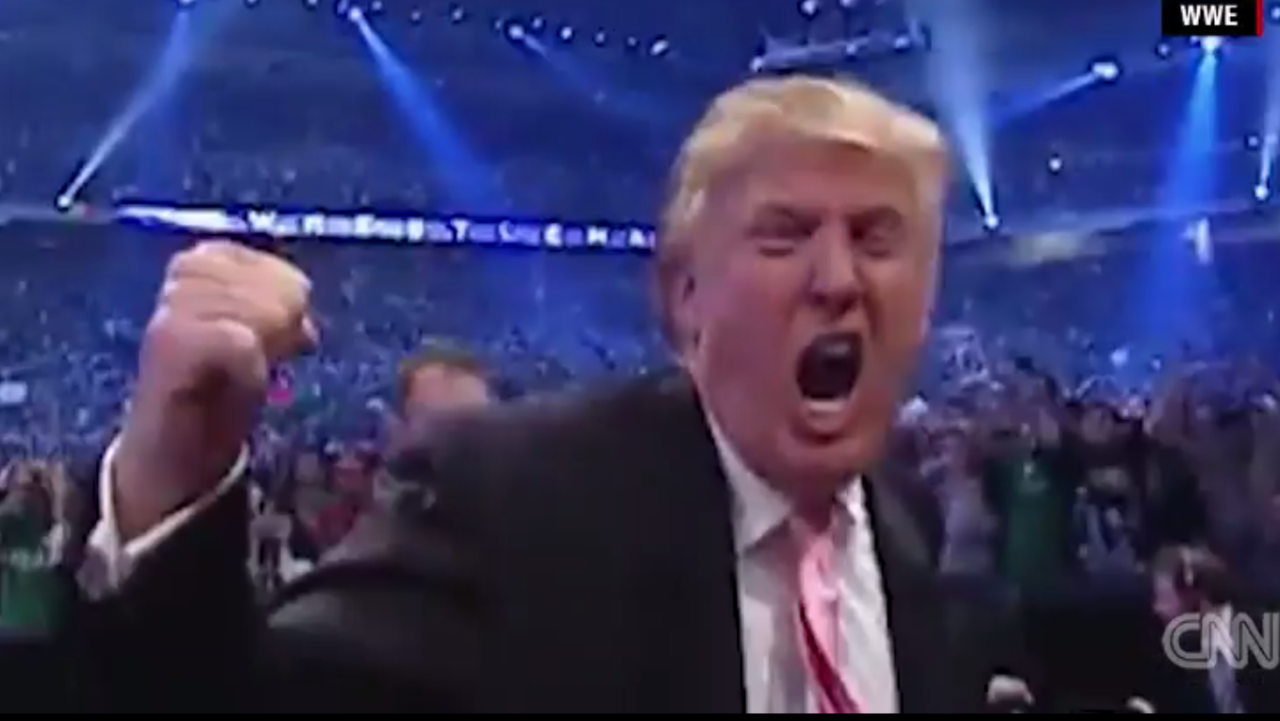 Trump wwe cheap