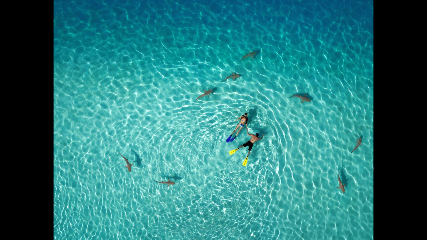 <strong>1st Prize Winner, Nature category</strong>: Snorkeling with sharks in <a href="http://www.dronestagr.am/french-polynesia-4/" target="_blank" target="_blank">French Polynesia</a>