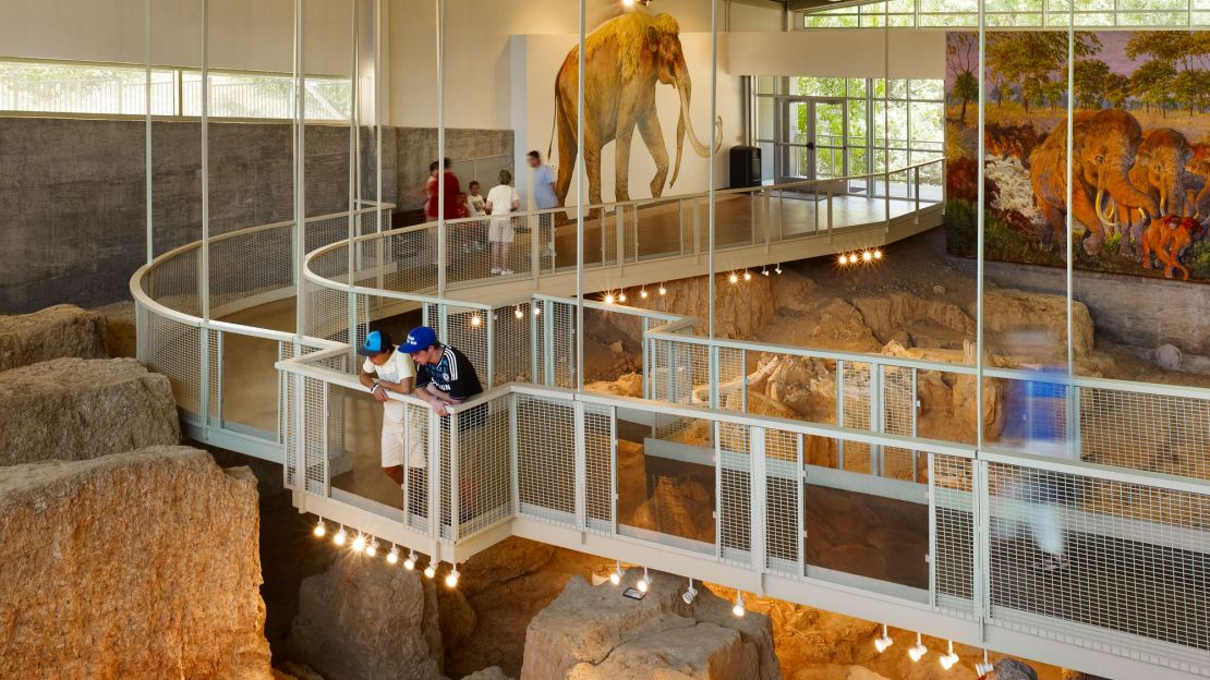 Learn more about Columbian mammoths and other Ice Age animals at the Waco, Texas, site. 
