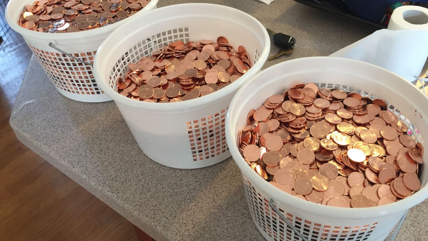 Stephen Coyle used 60 pounds of pennies to pay off his parking fines in a protest.