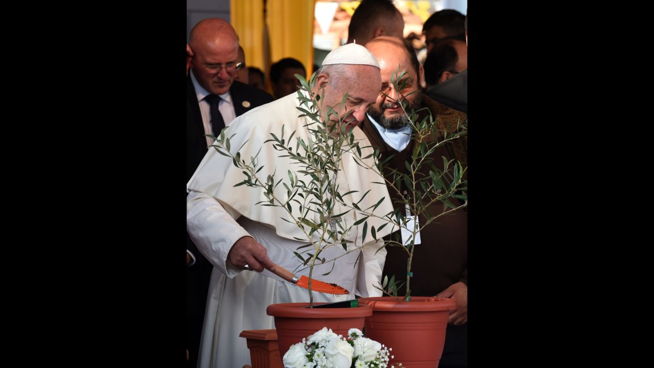 Pope Francis plants an olive tree in Asuncion's Banado Norte neighborhood on July 12.