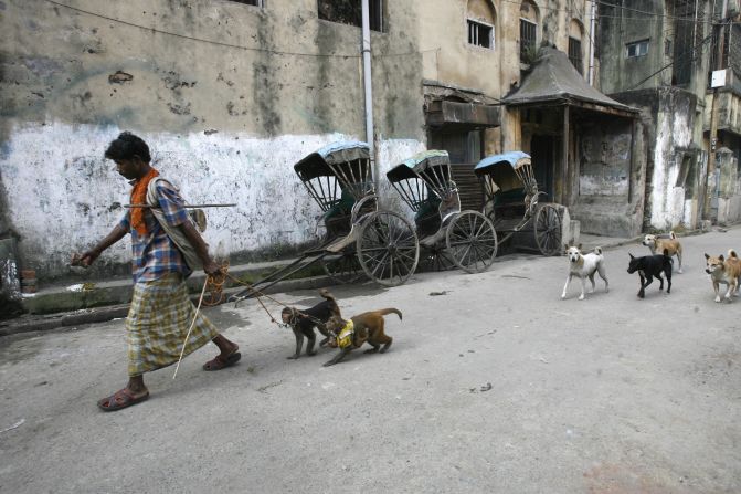 An Indian man walks with his monkeys followed by stray dogs in Kolkata on December 10, 2008.