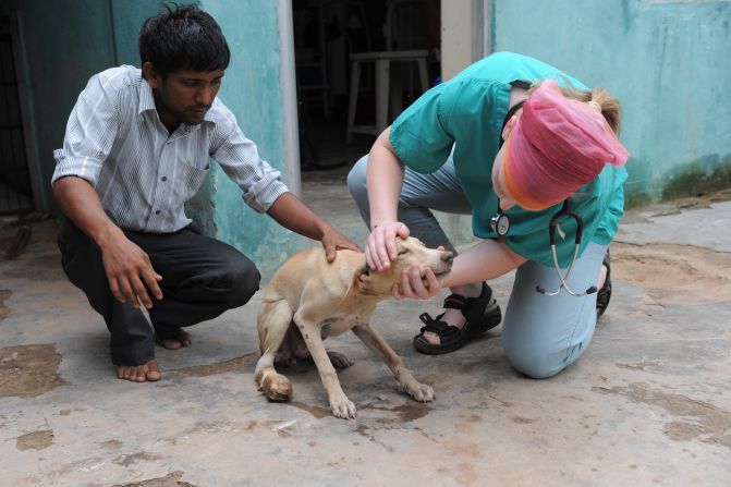 British veterinary student Kim Barrow (right) inspects an injured stray dog at The Asha Foundation -- a care center for stray animals and birds in Hathijan village, near Ahmedabad, on July 21, 2011. 