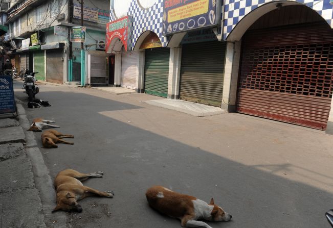 Stray dogs sleep on an empty road lined with shuttered shops during a one-day general strike called by the trade unions in Siliguri, West Bengal, on February 28, 2012. 
