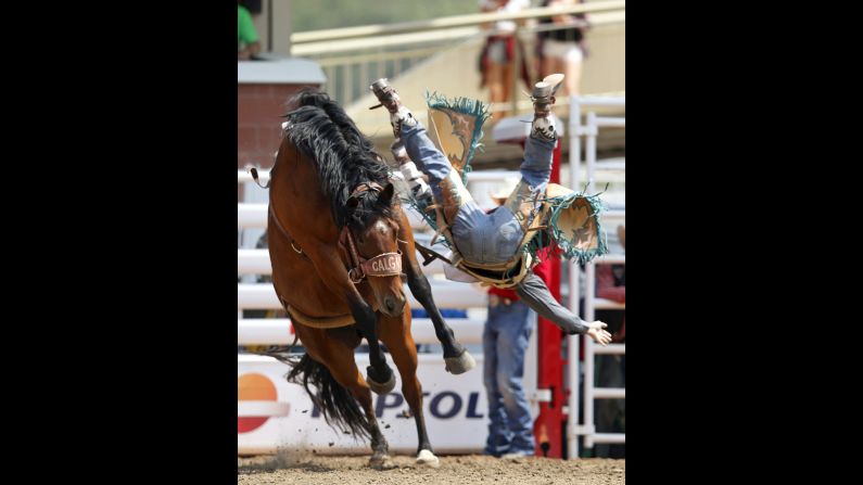 Jaden Clark goes flying off a horse Saturday, July 11, during the Calgary Stampede in Calgary, Alberta.