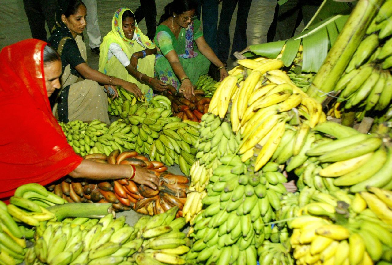 India is the world's leading producer of bananas, and has hundreds of local varieties.