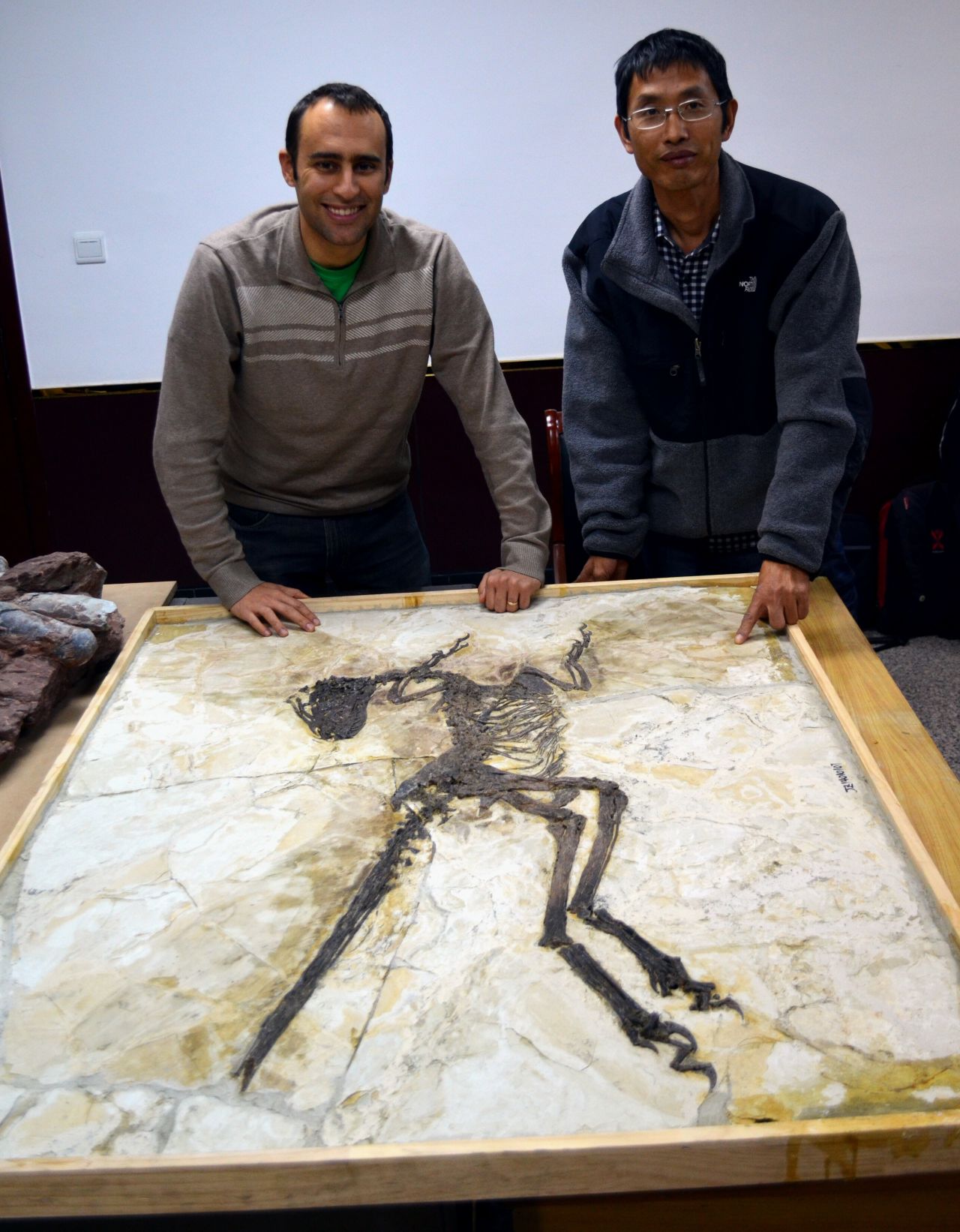 Steve Brusatte, left, and Lu Junchang post in front of the Zhenyuanlong skeleton