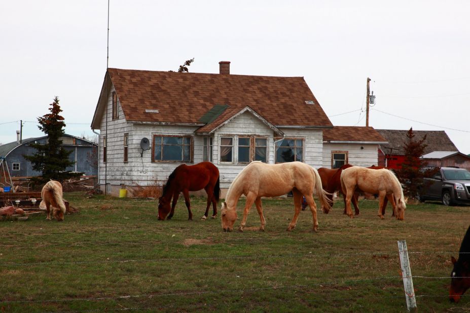 <a href="http://ireport.cnn.com/docs/DOC-1252287">Lee Gunderson</a> noticed horses munching on the grass in someone's front yard while on a walk. Gunderson said the owner told him he didn't care how the grass got cut, "'just that the horses do it for free and I can watch TV.'"
