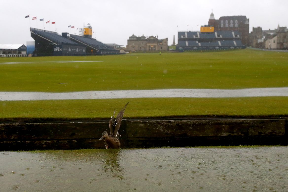 A duck makes the most the the wet conditions.