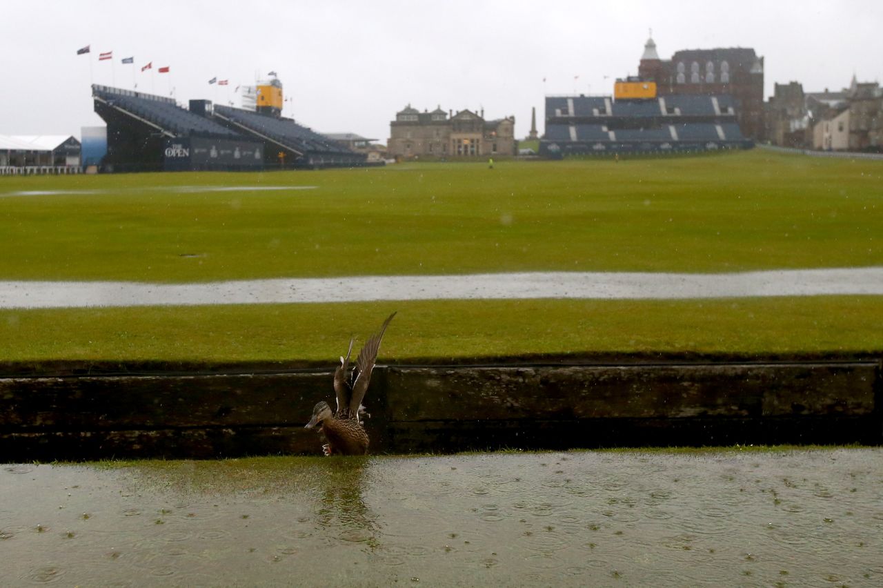 A duck makes the most the the wet conditions.