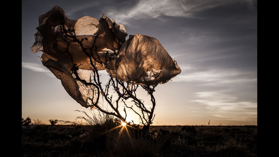 A plastic bag rests over a bush in the Bolivian Altiplano plateau. Photographer Eduardo Leal found this to be common in the region.