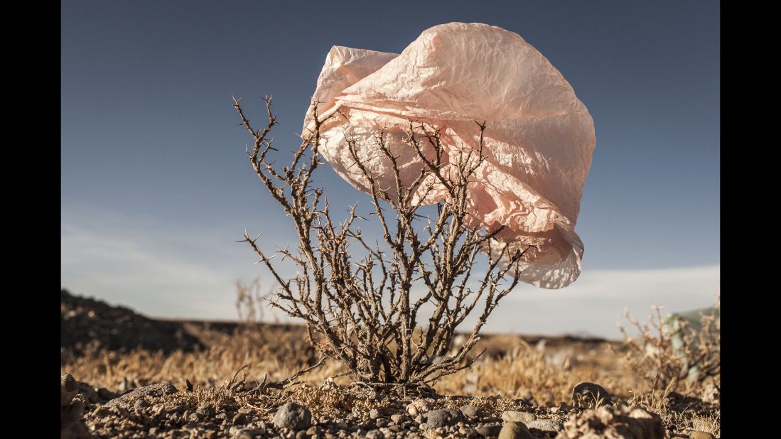 Leal acknowledges that plastic bag pollution might be the result of weak waste management infrastructures and a lack of education about how to take care of the environment. 