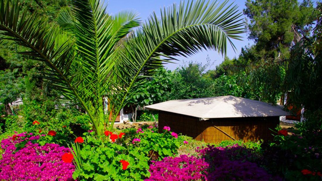 Guests can expect cozy bamboo huts among fruit trees at Atsitsa Bay. Full board with Mediterranean meals is on offer.