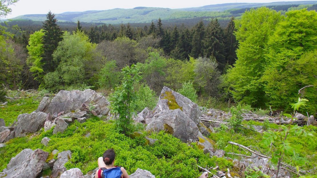 Hunsrück-Hochwald: Europe's newest national park.