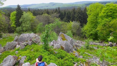 Hunsrück-Hochwald: Europe's newest national park.