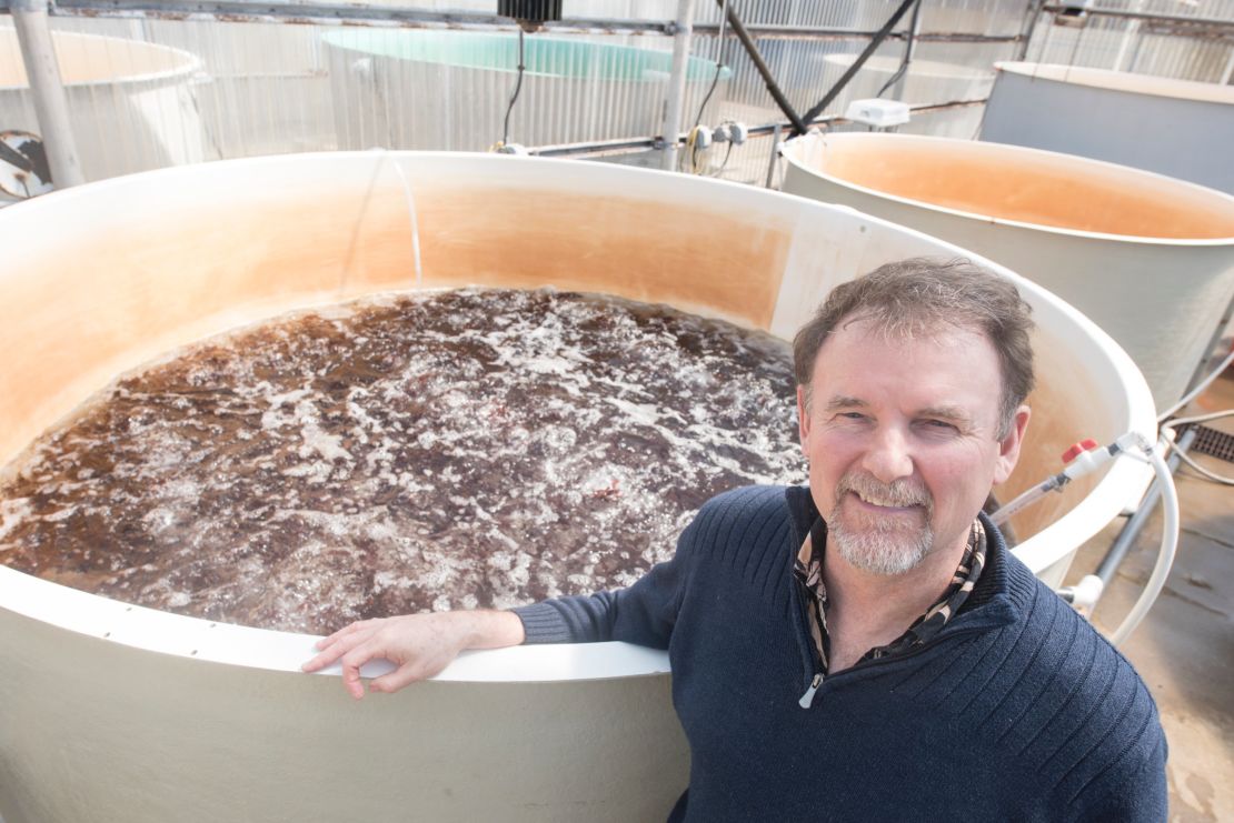 Chris Langdon has been growing and studying dulse at Hatfield Marine Science Center in Newport Oregon for decades and is now working with the Food Innovation Center in Portland on creating healthy and appealing dishes.