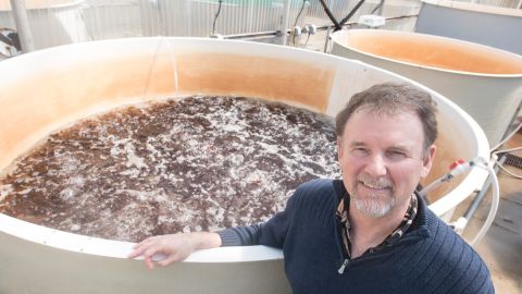 Chris Langdon has been growing and studying dulse at Hatfield Marine Science Center in Newport Oregon for decades and is now working with the Food Innovation Center in Portland on creating healthy and appealing dishes.