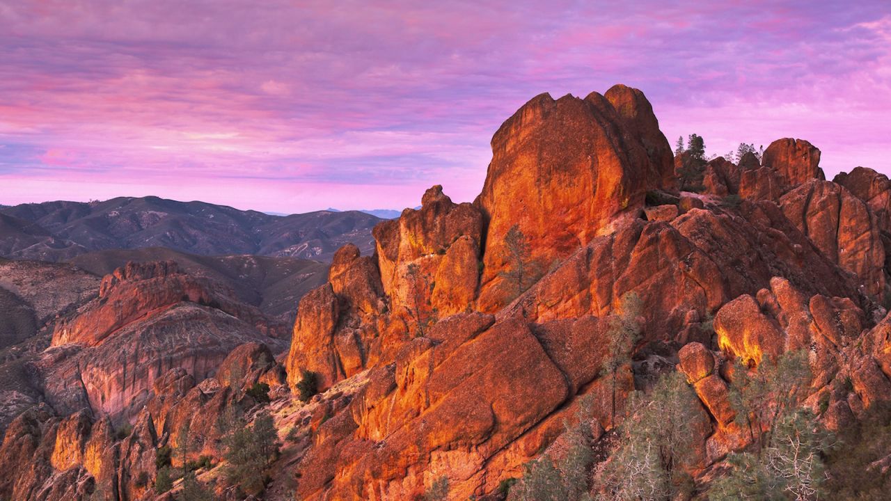 Pinnacle National Park's 32 miles of trail are filled with bizarre rock spires and charming wildflowers, which are pollinated by 400 species of bees. 