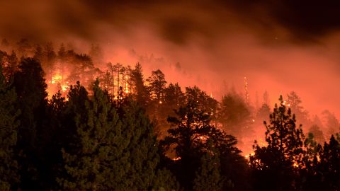 Flames from the Pines Fire burn on Saturday, July 18, in Wrightwood, California. The blaze was burning near Mount San Antonio, which is also called Mount Baldy for its snow-capped summit that's highly visible in Los Angeles.
