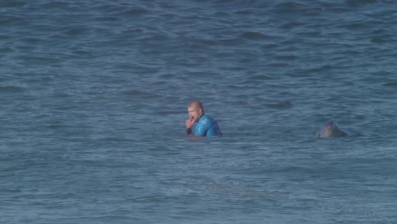 surfer mick fanning shark _00000415.jpg